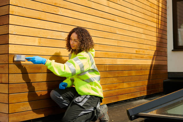 Best Siding Painting and Refinishing  in Haines, AK